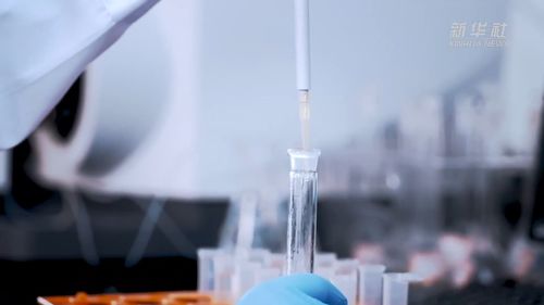 从实验室到高原盐湖 解码“吸附力”创新密码