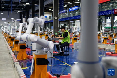 科技赋能引领高质量发展 山东日照的技术开发新路径