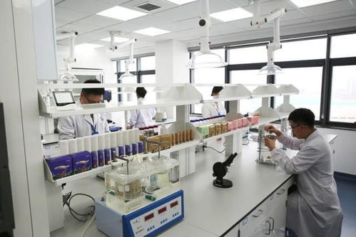 科技赋能研发，锻造高质量产品——康婷慧科技的技术开发之路