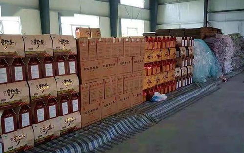 科技赋能丰收季，盛装西平邀您共赴中国农民红薯节